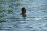 P1010766