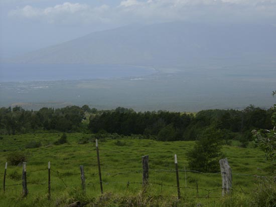 P1050060