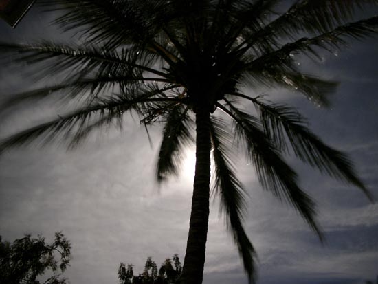 P1050535